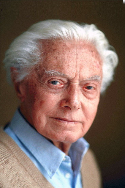 Profile of Dino Risi