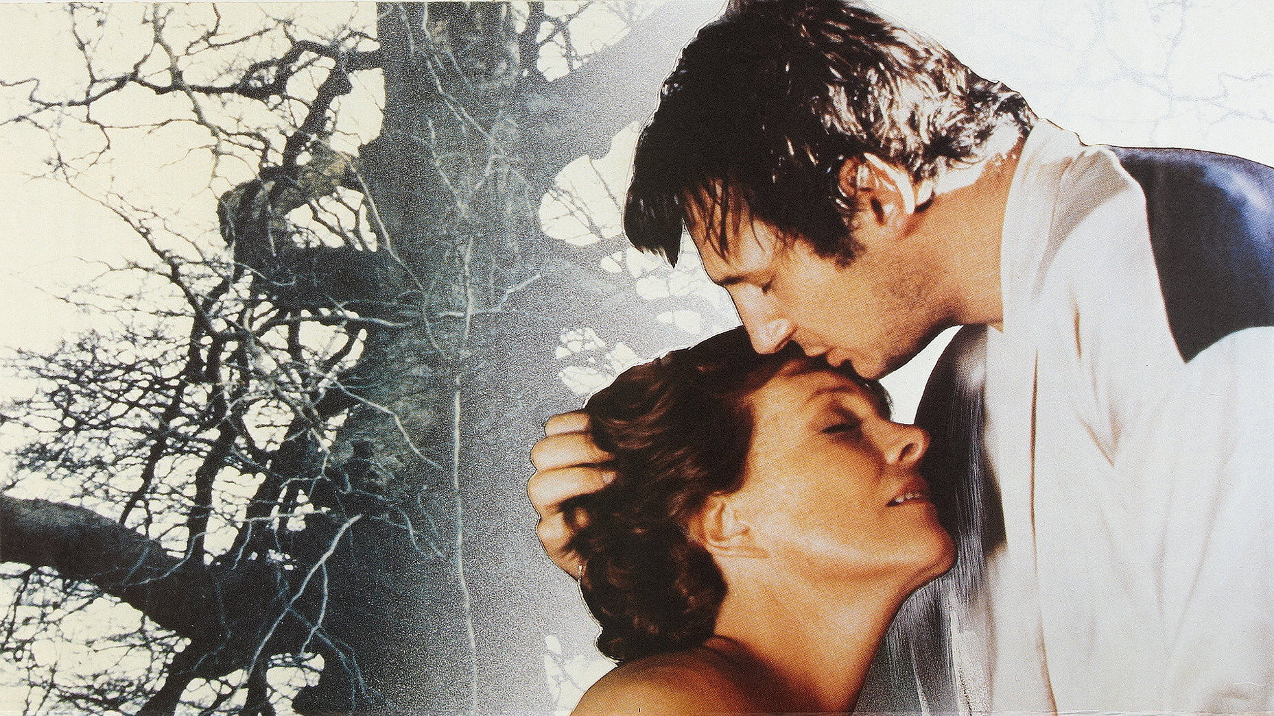 Movie backdrop