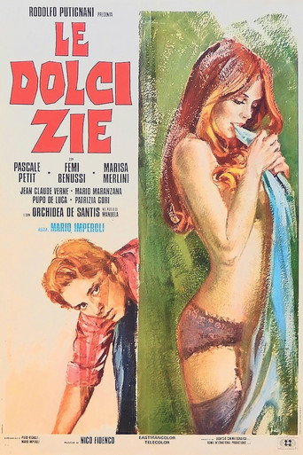 The Sweet Aunts poster