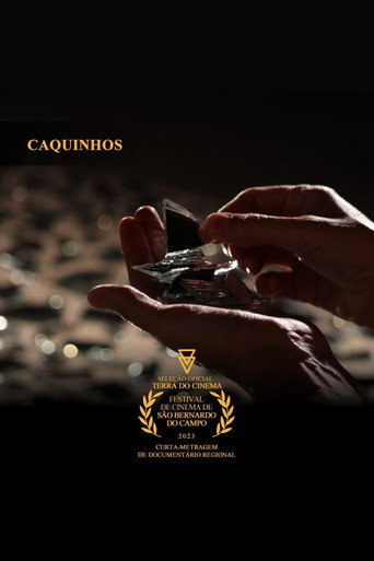 Caquinhos poster