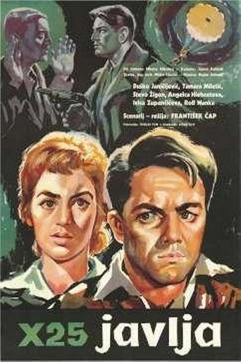 X-25 Reports poster