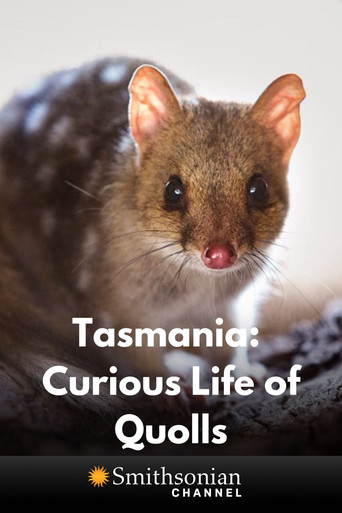 Tasmania: Curious Life of Quolls poster