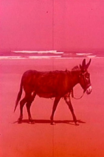 Playa insólita poster