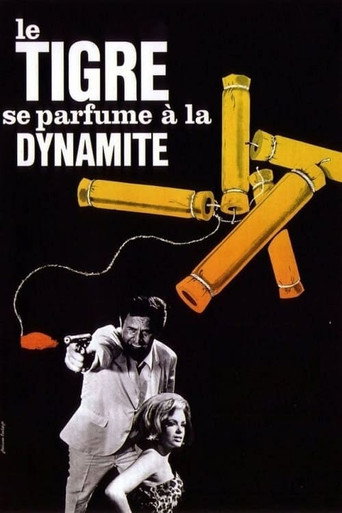 Our Agent Tiger poster