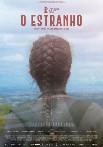 The Intrusion poster