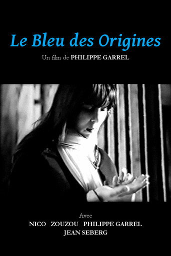 The Blue of the Origins poster