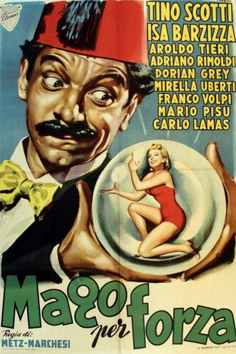 Il mago per forza poster