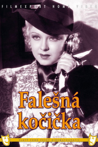 Falešná kočička poster
