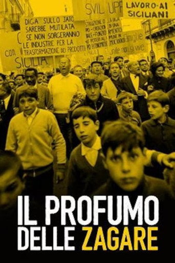 Il profumo delle zagare poster