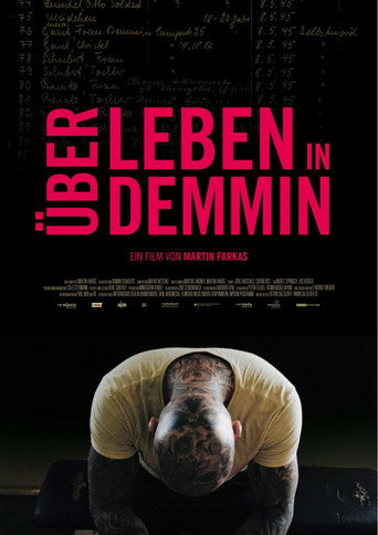 Living in Demmin poster