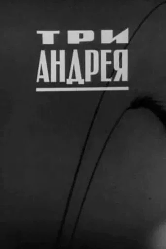 The Three Andreis poster