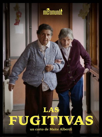 The Fugitives poster