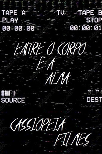 The last VHS poster