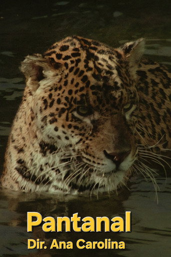 Pantanal poster