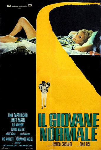Normal Young Man poster