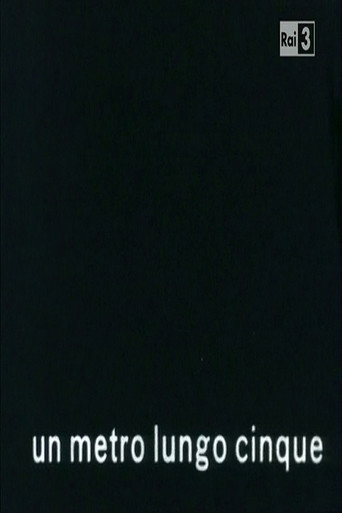 Un metro lungo cinque poster
