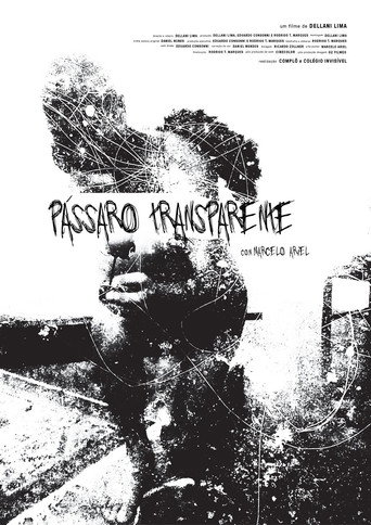 Pássaro Transparente poster