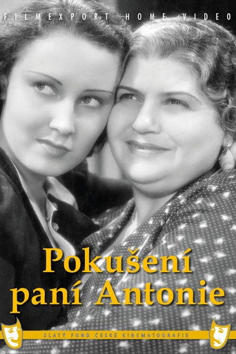 Pokušení paní Antonie poster
