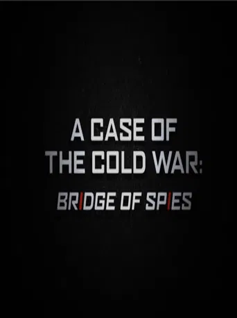 A Case of the Cold War: Bridge of Spies poster