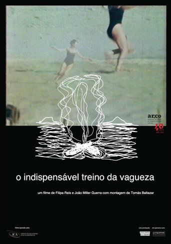 The Indispensable Practice of Vagueness poster