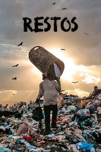 Remains poster