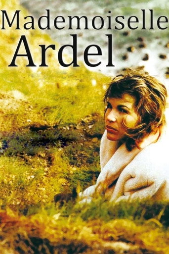 Der Erfolg ihres Lebens poster