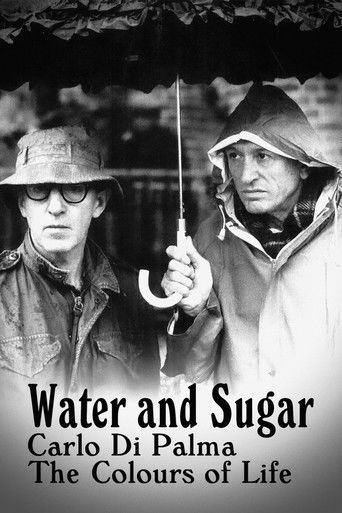 Water and Sugar – Carlo Di Palma: The Colours of Life poster