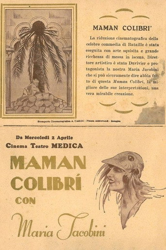 Mother Hummingbird poster
