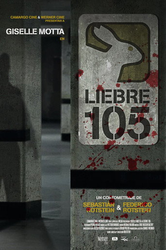 Rabbit 105 poster