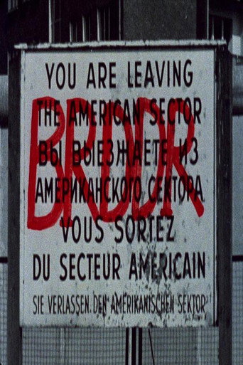 BRDDR poster