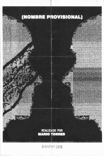 Provisional Name poster