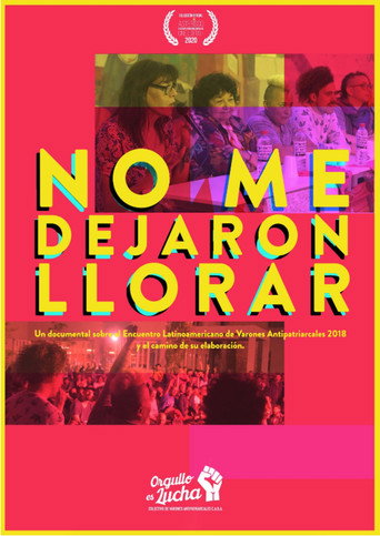 No me dejaron llorar poster