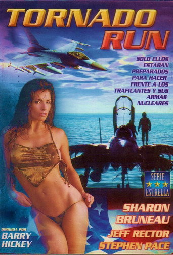 Tornado Run poster