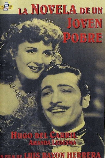 La novela de un joven pobre poster