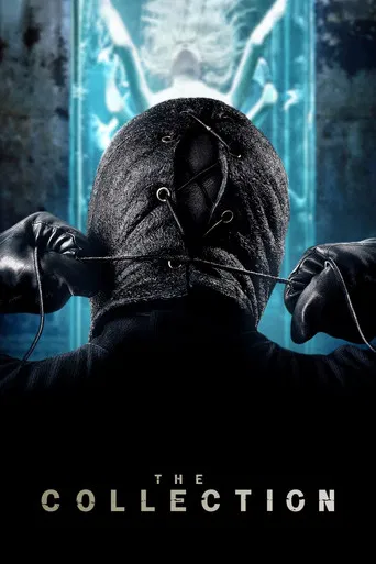 The Collection poster