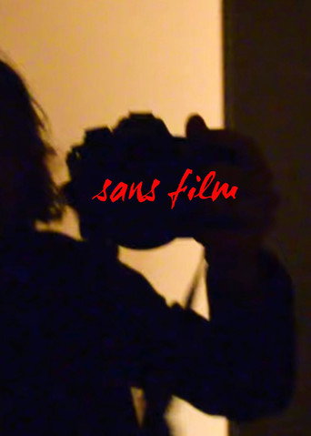sans film poster