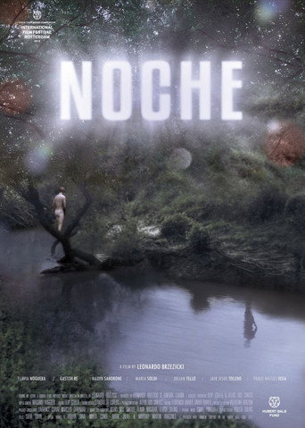 Night poster