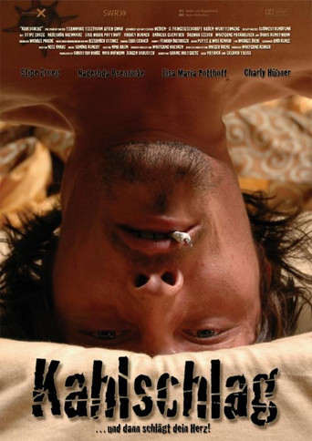 Kahlschlag poster