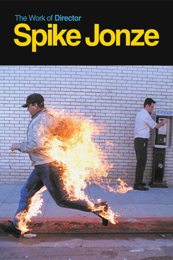 The Work of Director Spike Jonze poster