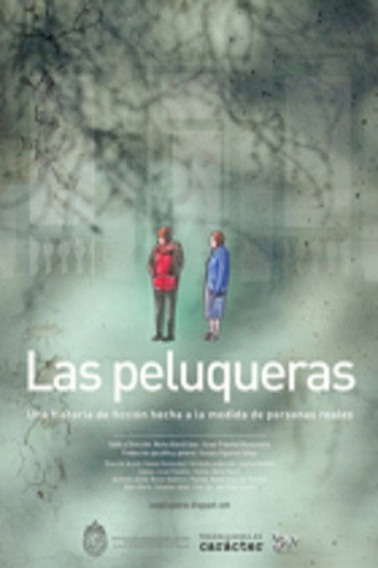 The Hairdressers poster