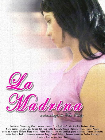 The Godmother poster