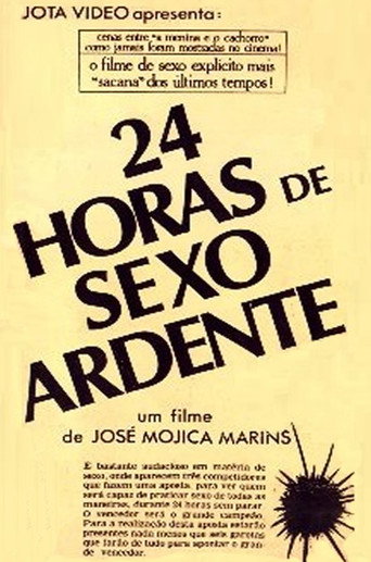 24 Hours of Explicit Sex poster