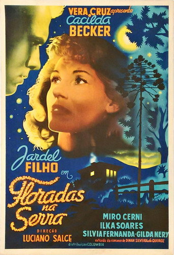 Floradas na Serra poster