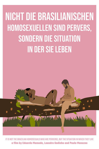 It Is Not the Brazilian Homosexuals Who Are Perverse, But the Situation in Which They Live poster