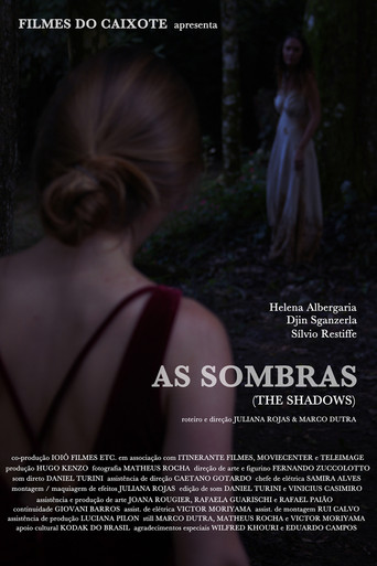 The Shadows poster