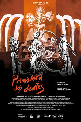 Primavera nos Dentes – A História do Secos & Molhados poster