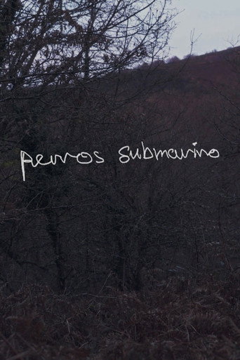 Perros submarino poster