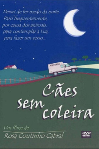 Cães Sem Coleira poster