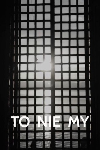 It's Not Us poster