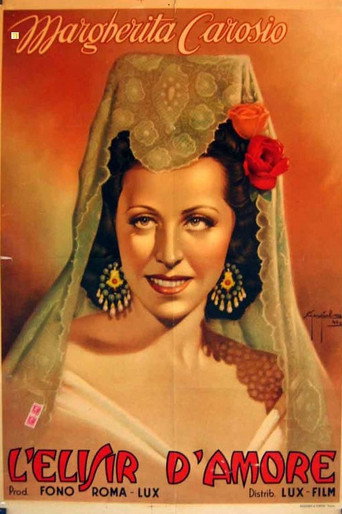 L'elisir d'amore poster